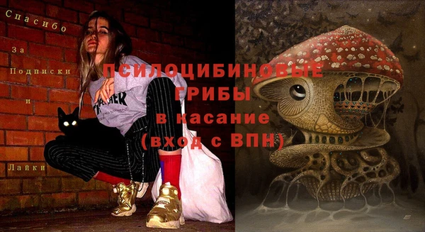 спайс Осинники